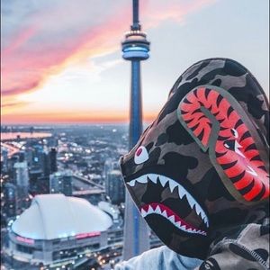 Meet your Posher, Brandon